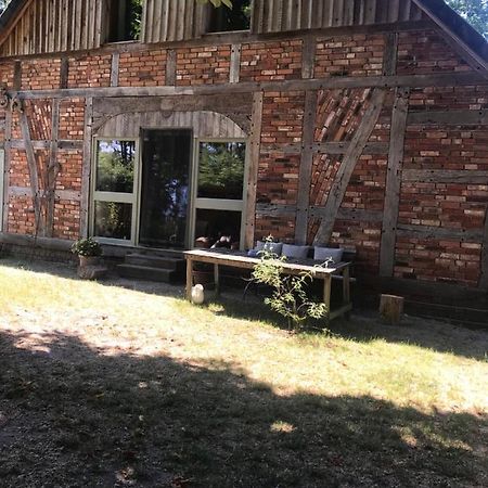 Gemuetliche Ferienwohnung An Der Elbe Блеккеде Экстерьер фото