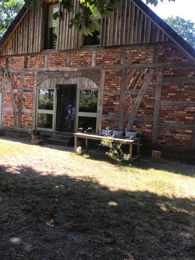 Gemuetliche Ferienwohnung An Der Elbe Блеккеде Экстерьер фото