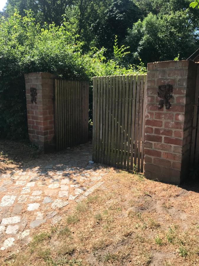 Gemuetliche Ferienwohnung An Der Elbe Блеккеде Экстерьер фото